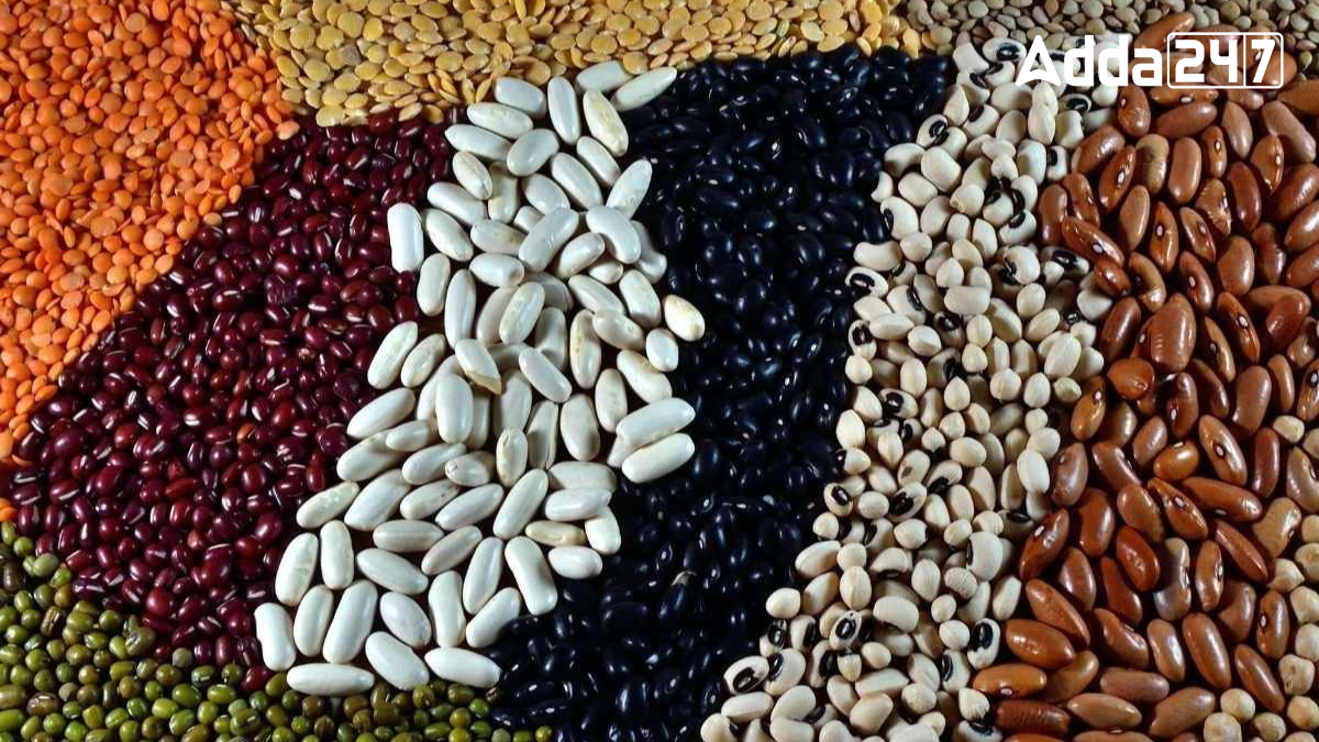 Which District of Uttar Pradesh is Known as "City of Pulses"?