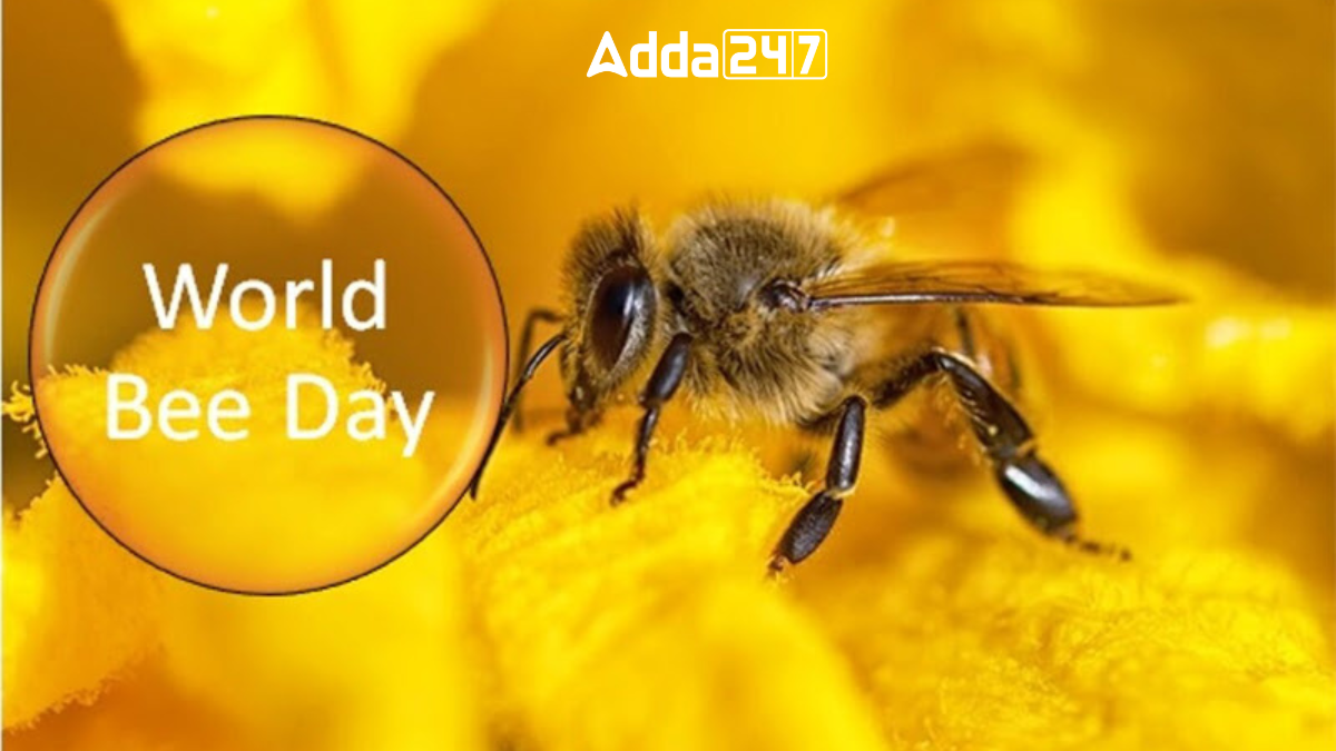 World Bee Day 2024