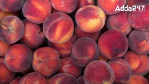 Which State of United States is Known as "The Peach State"?