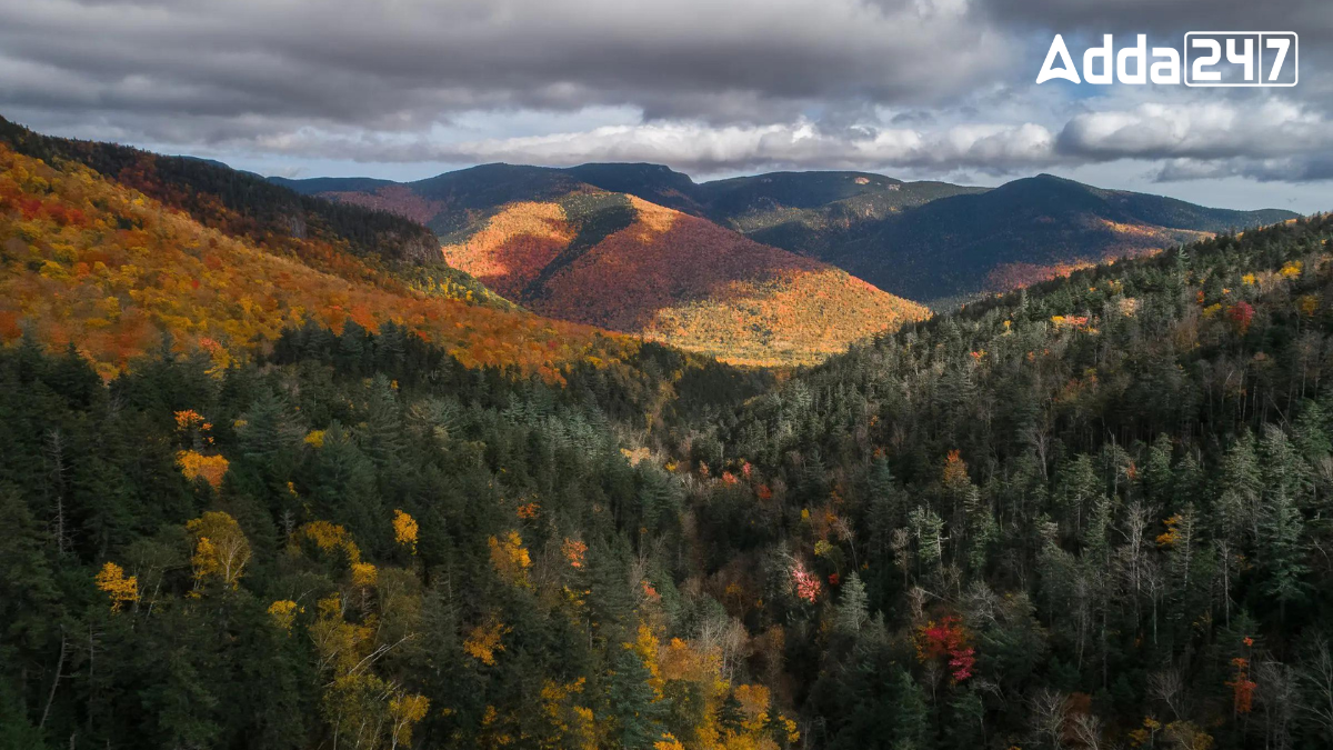 Which State of United States is Known as "The Granite State"?