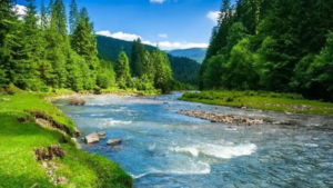 Longest River of Kerala