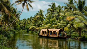 What is the Area of Kerala