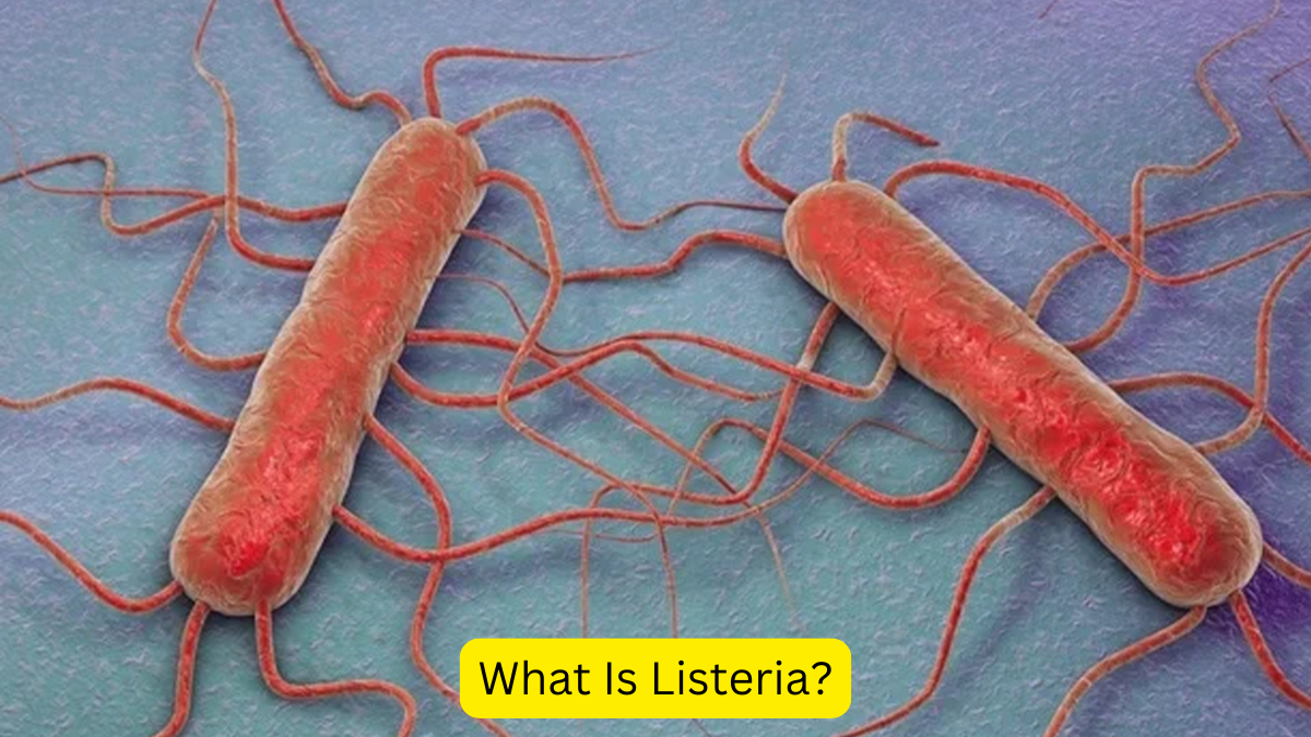 What Is Listeria?