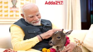 PM Modi Welcomes Newborn Calf 'Deepjyoti' at His Residence