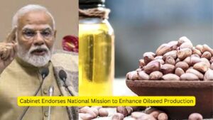 Cabinet Endorses National Mission to Enhance Oilseed Production