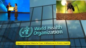 Egypt Declared Malaria-Free: A Milestone in Public Health