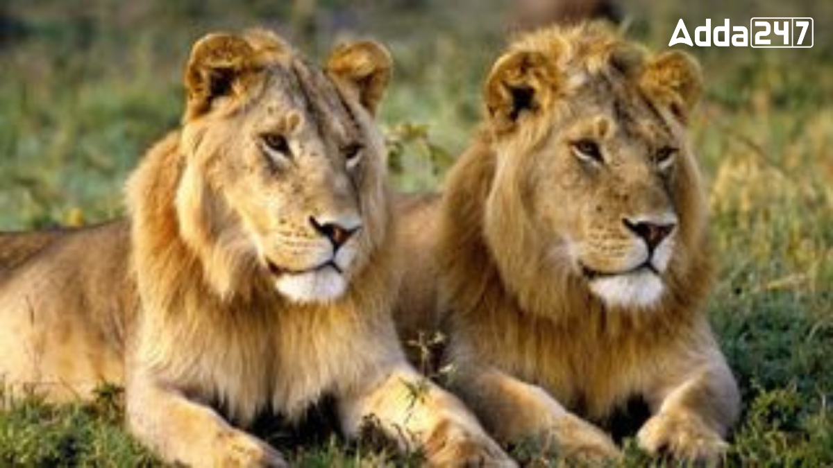 Which Indian State is Known as the Land of Lions?