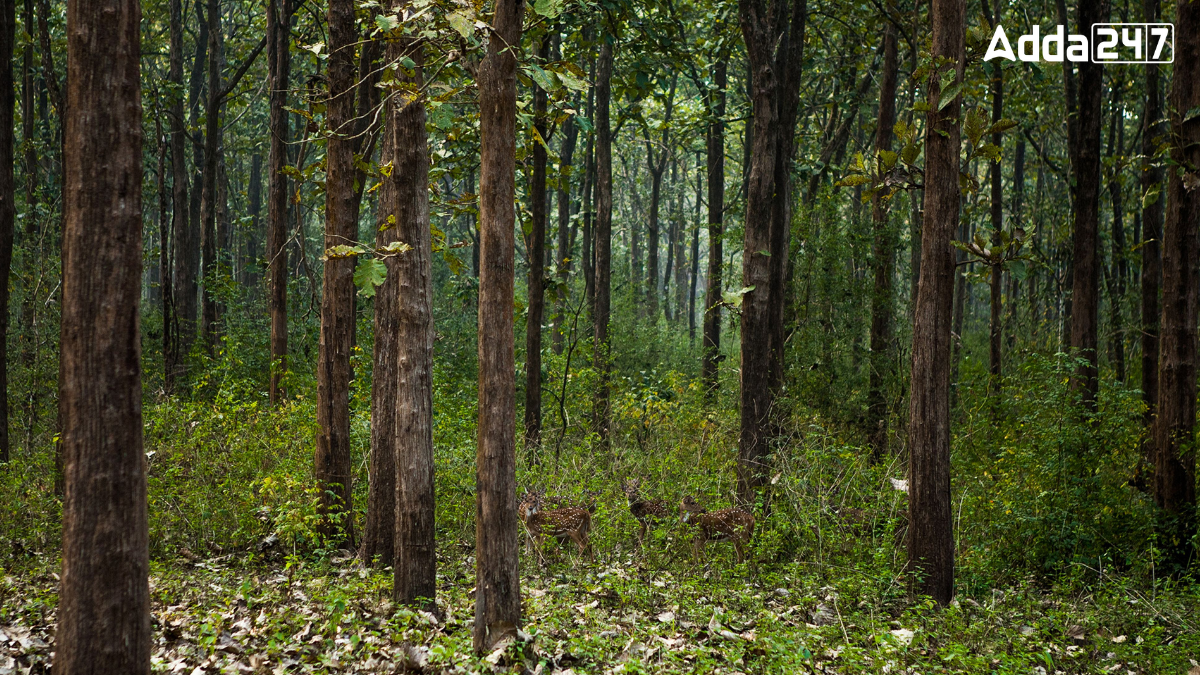 Which Indian State is Known as the Land of Forests?