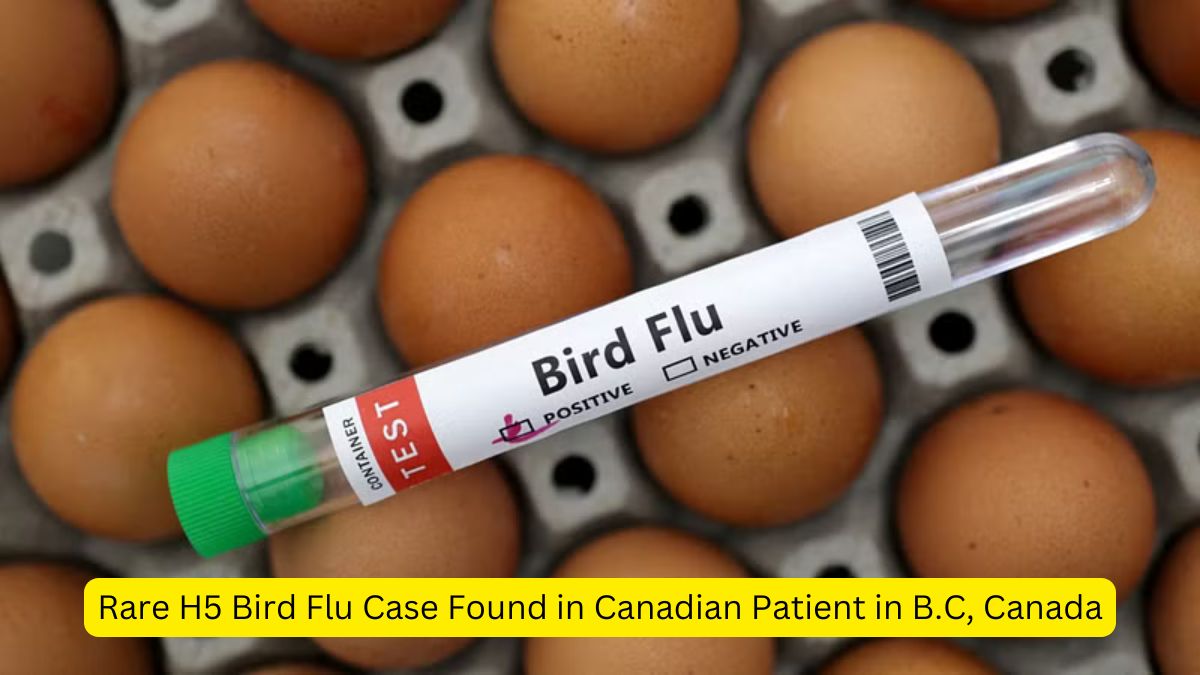 Rare H5 Bird Flu Case Found in Canadian Patient in B.C, Canada