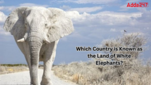 Which Country is Known as the Land of White Elephants?