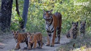 Which District of Madhya Pradesh is Famous for Madhav National Park?