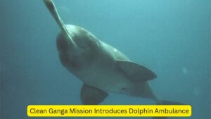 Clean Ganga Mission Introduces Dolphin Ambulance