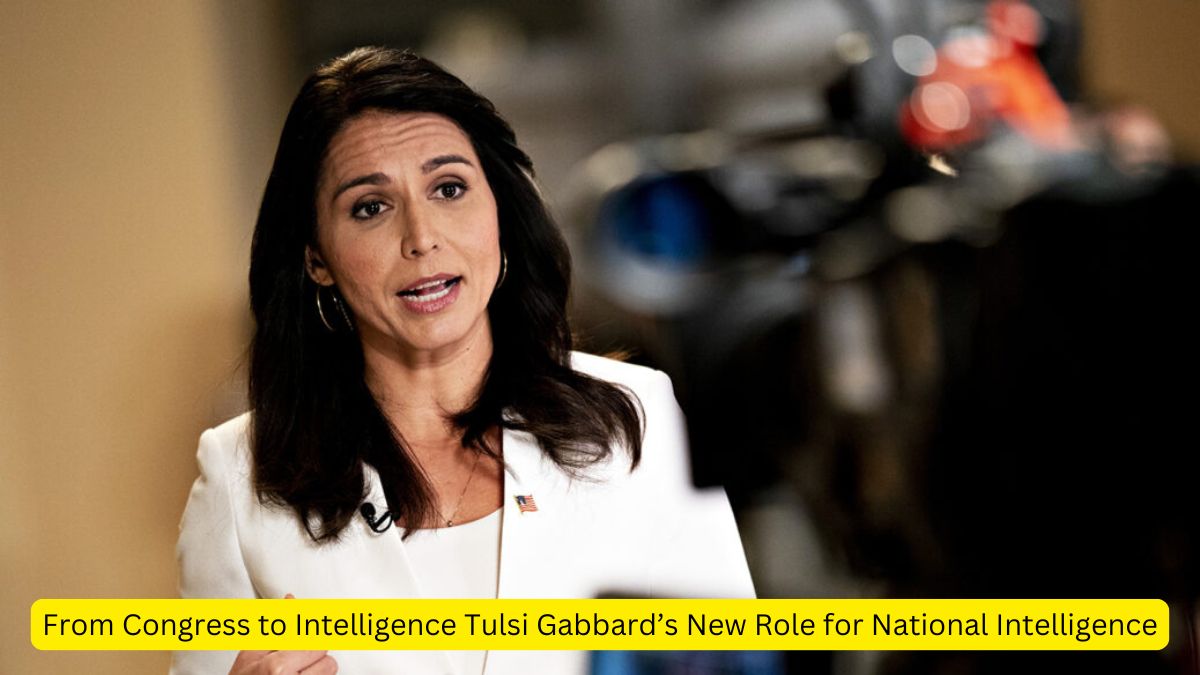 From Congress to Intelligence Tulsi Gabbard's New Role for National ...