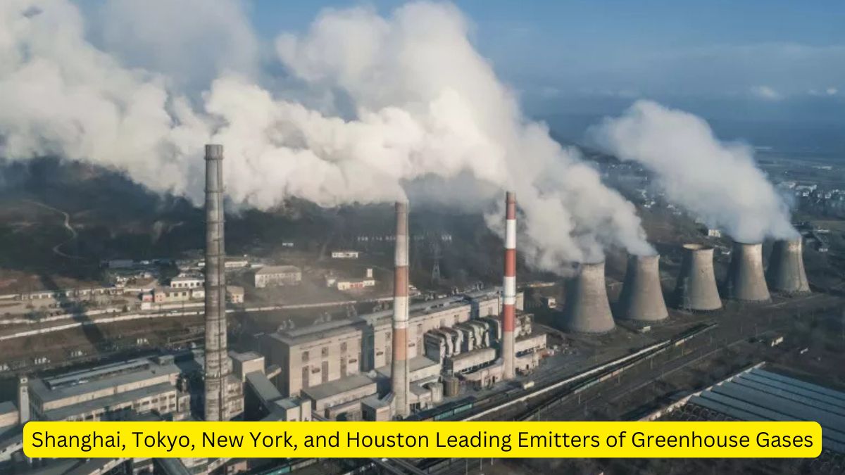 Shanghai, Tokyo, New York, and Houston Leading Emitters of Greenhouse Gases