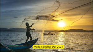 World Fisheries Day 2024: Date, Theme, History and Significance