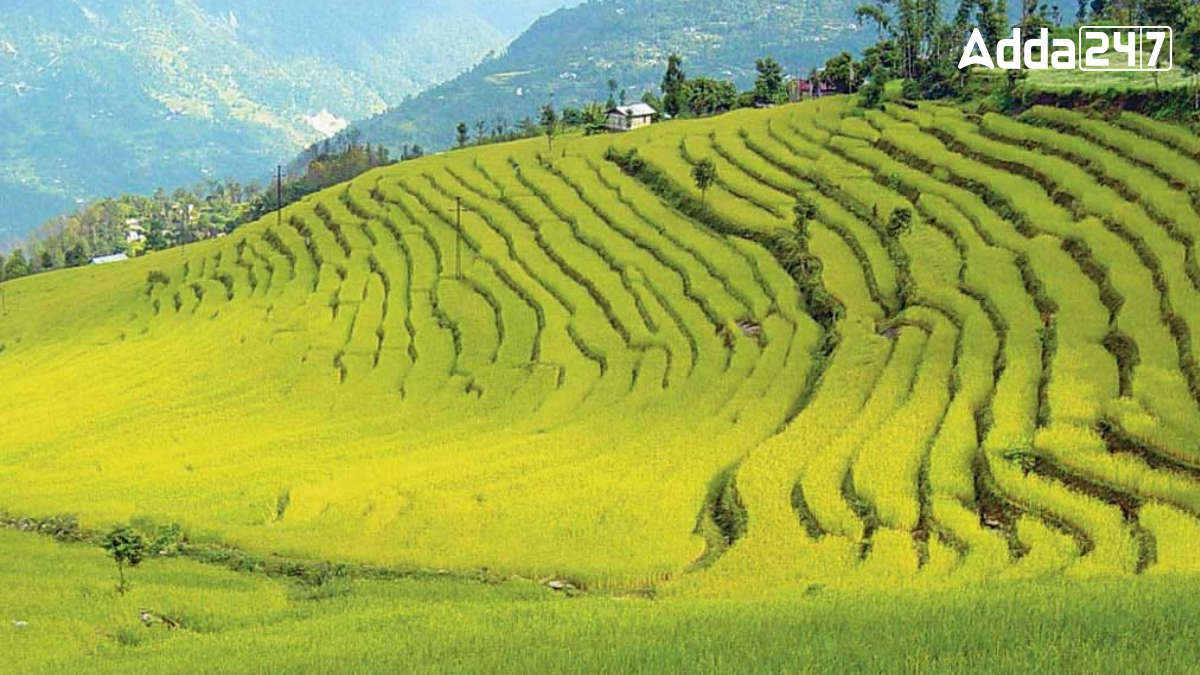 Which Indian State is Known as the Valley of Rice?