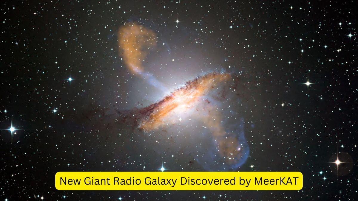 New Giant Radio Galaxy Discovered by MeerKAT