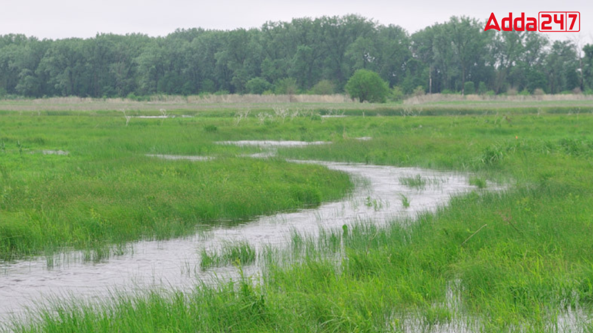 Which District of Uttar Pradesh is the Wetland Hub?