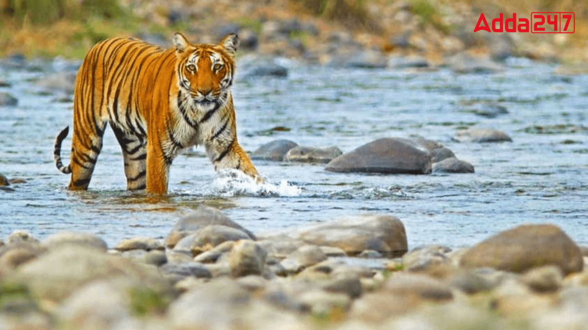 Where is Jim Corbett National Park Located?