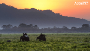 Where is Kaziranga National Park Located