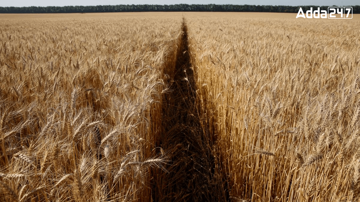 Which Country is Known as the Bread Basket of Europe?