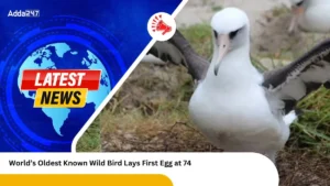 World’s Oldest Known Wild Bird Lays First Egg at 74