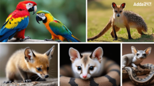 Animals that are Banned as Pet in India