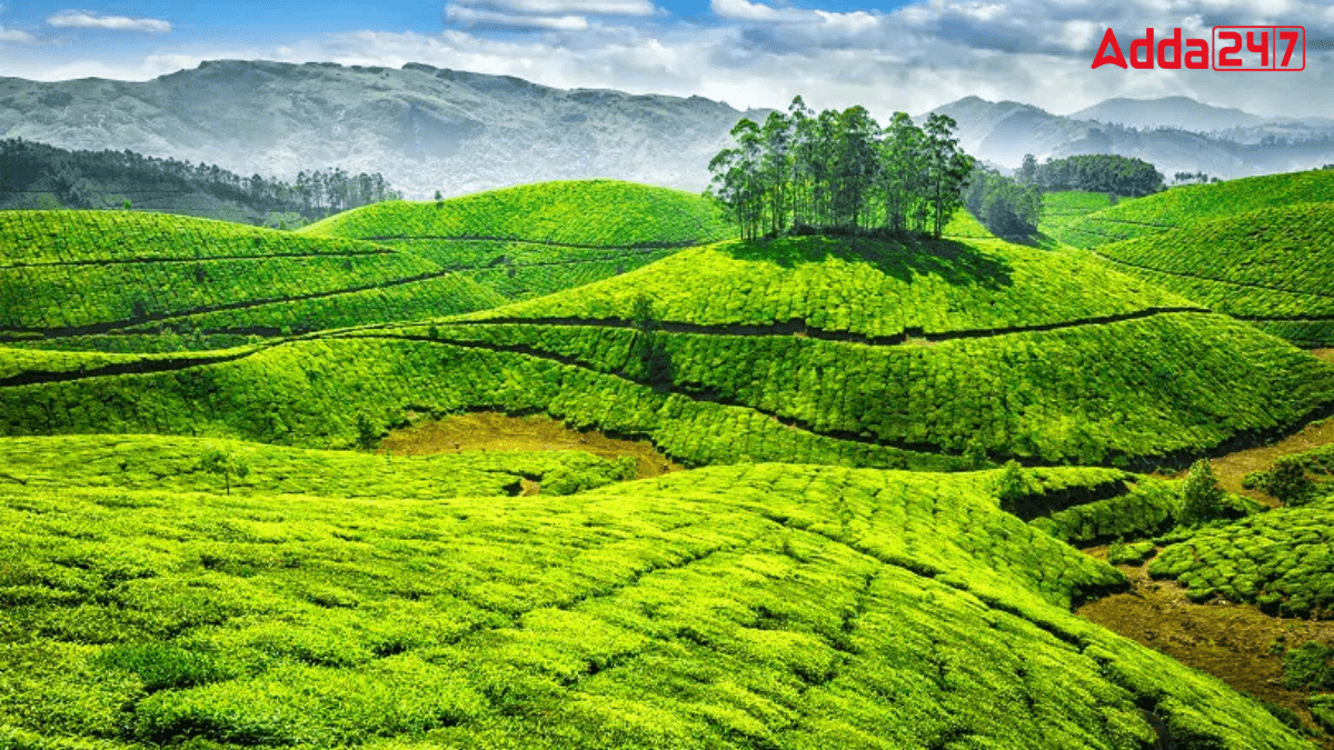 Where is Location of Ooty?