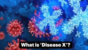 What is ‘Disease X’?