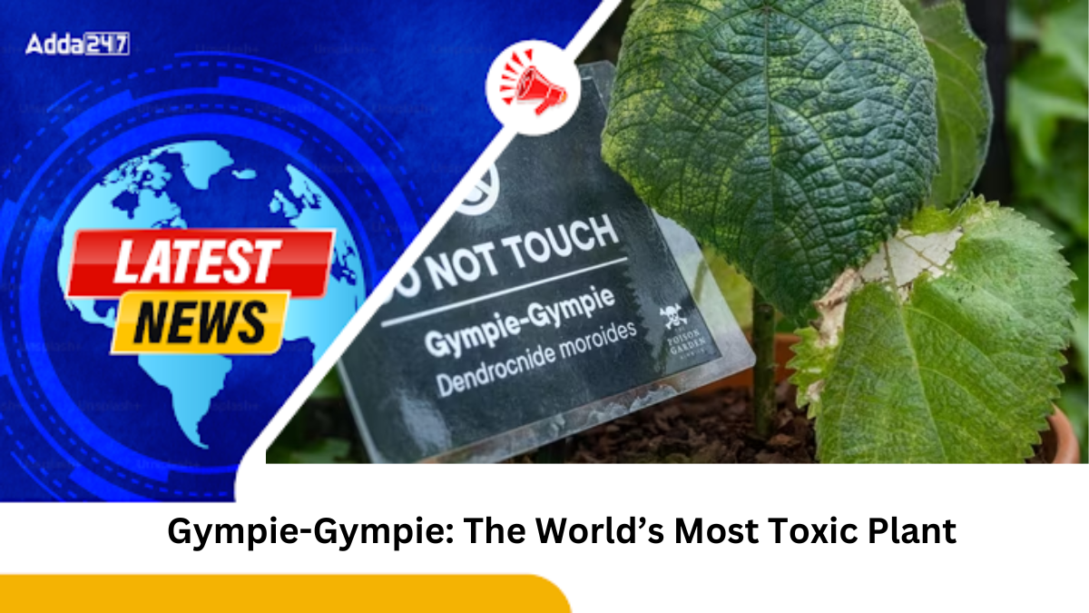 Gympie-Gympie: The World’s Most Toxic Plant