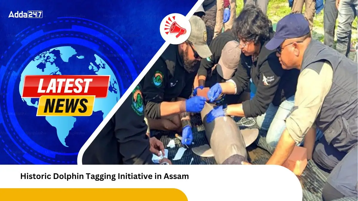 Historic Dolphin Tagging Initiative in Assam