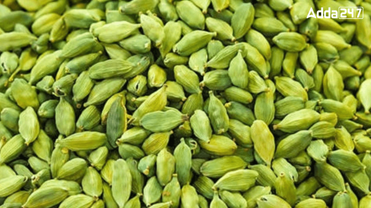 Top-5 Cardamom Producing States in India