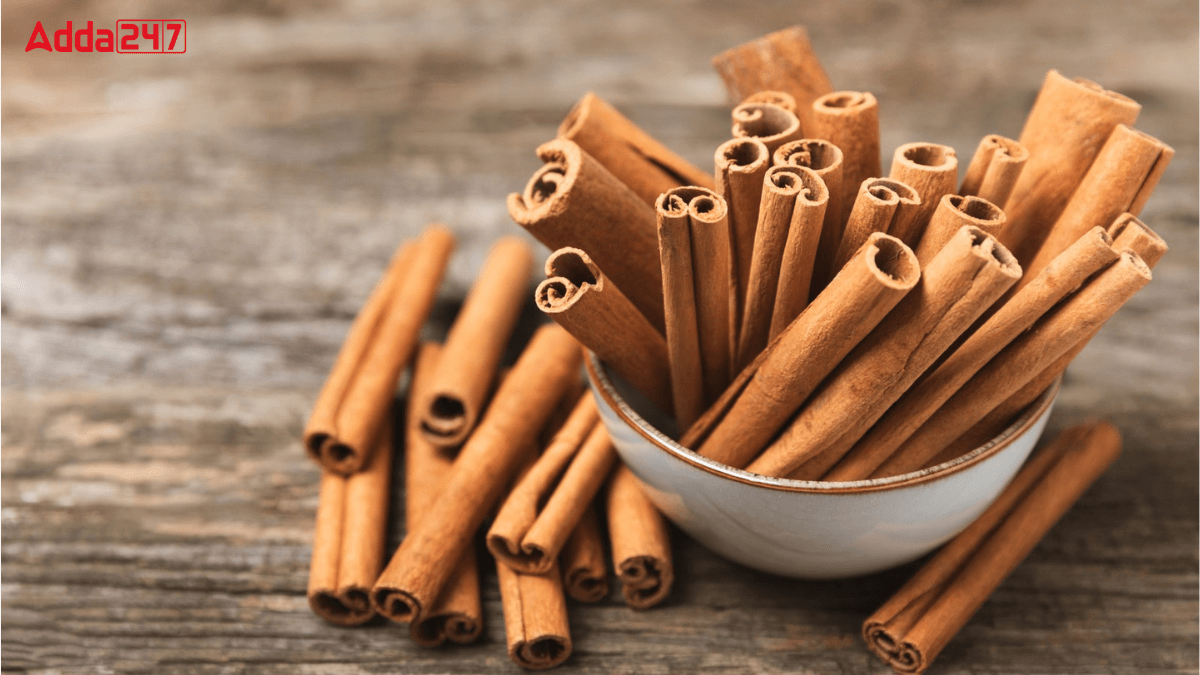 Top-5 Cinnamon Producing Countries in the World 2024