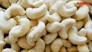 Which Indian District is Known as the Cashew Capital of the World?