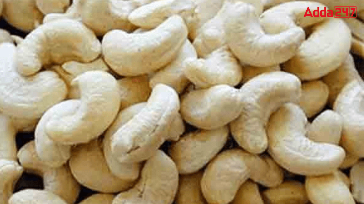 Which Indian District is Known as the Cashew Capital of the World?