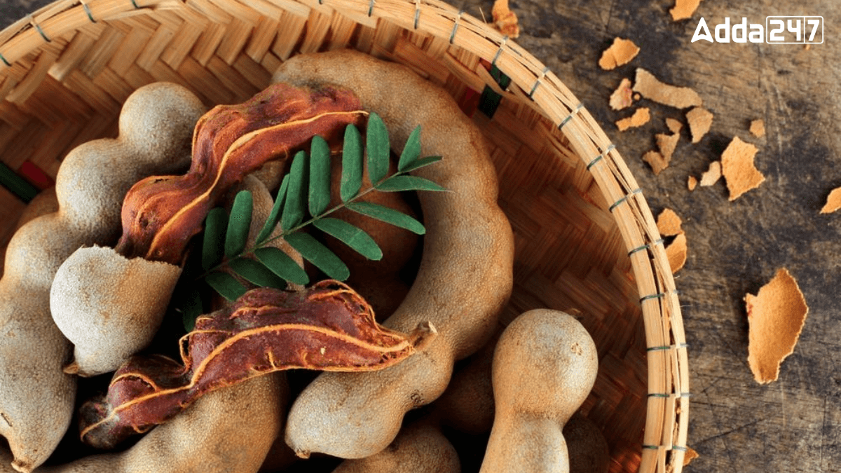 Top-5 Tamarind Producing Indian States 2024