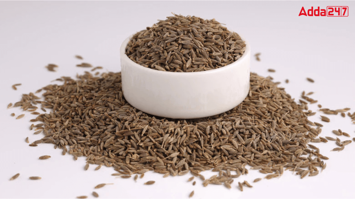 Top-5 Cumin Producing States in India, Know the Names