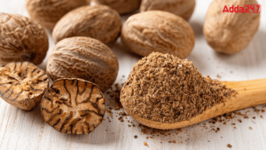 Top Nutmeg Producing States in India, Know the Names