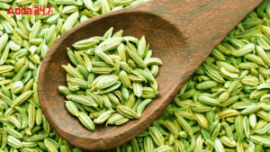 Top-5 Fennel Seeds Producing States of India, Know the Names