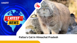 First Photographic Evidence of Pallas's Cat in Himachal Pradesh