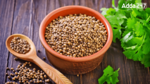 Top-5 Coriander Producing Countries in the World, Know the Names