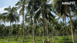 Which District of Karnataka is known as the Land of Coconut?