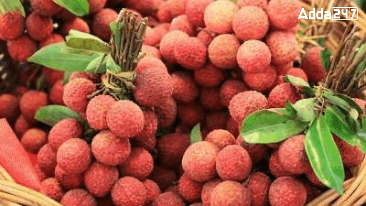 Which District of Bihar is Known as the Land of Litchi?