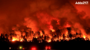 Largest Wildfire in the World's History, Check the List of Top-10