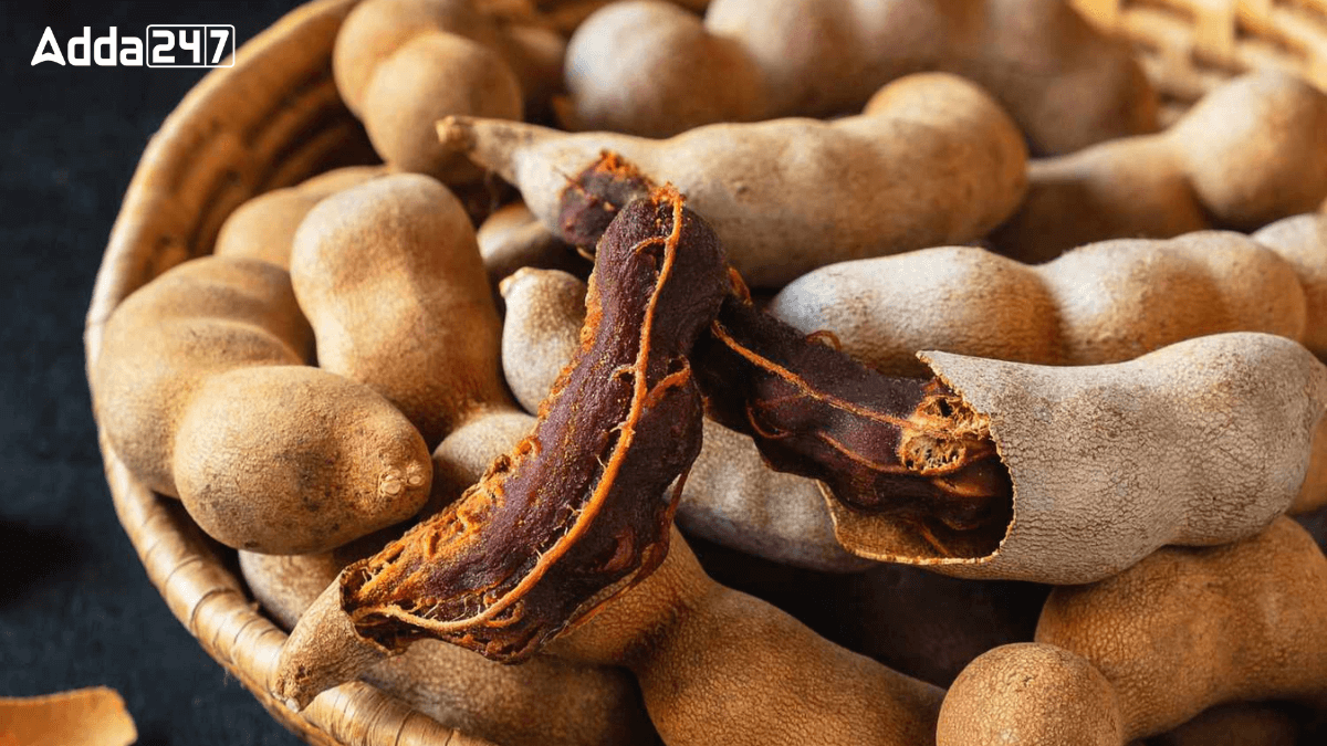 Top-5 Tamarind Producing Countries in the World, Know the Names