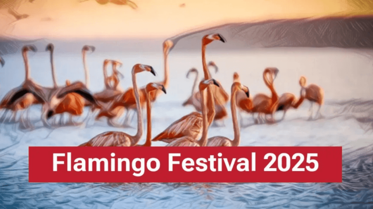 Flamingo Festival 2025 Concludes in Andhra Pradesh