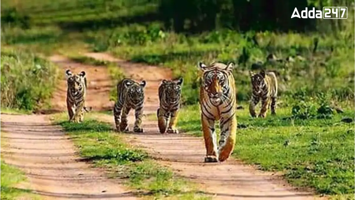 Which-is-the-Largest-Tiger-Reserve-in-the-World