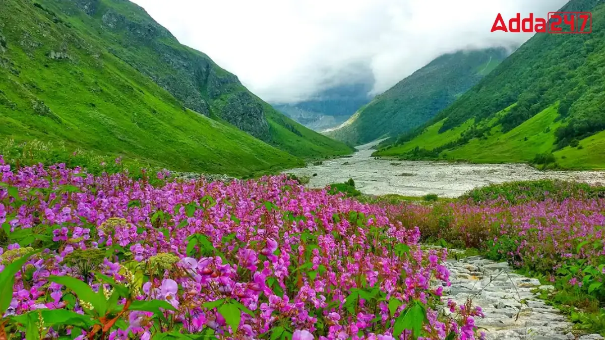 Which River Flows Through the Valley of Flowers? Know About It