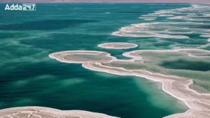 Where is the Dead Sea Located? Know About It