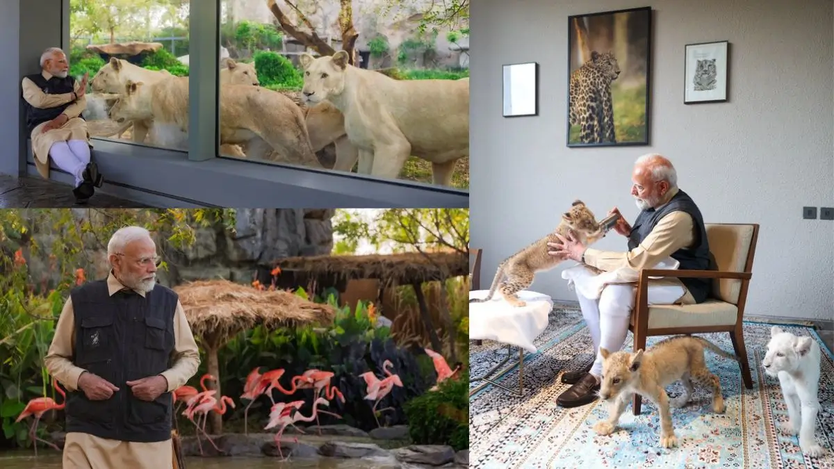 PM Modi Inaugurates Vantara, an Animal Rescue and Conservation Centre in Gujarat